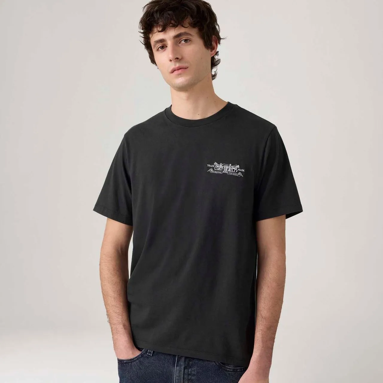 Camiseta Levi's® Graphic Crewneck Preta